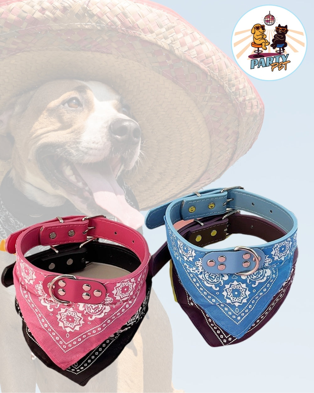 COLLARITO – Collare con bandana