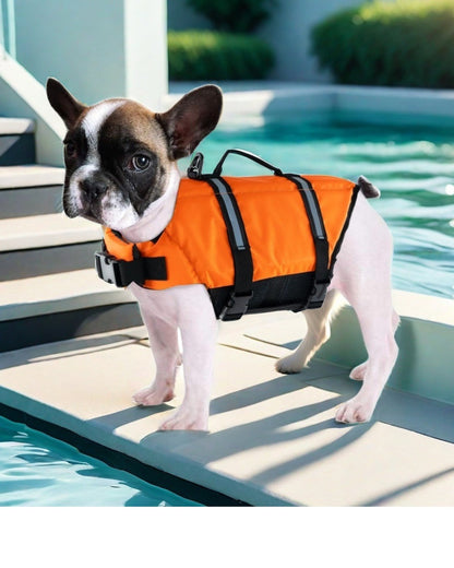 SUMMER SPLASH PACK – BAU Edition