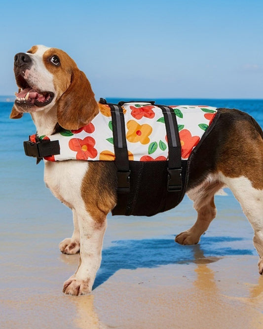 BAUWATCH - Giubbotto galleggiante per cani