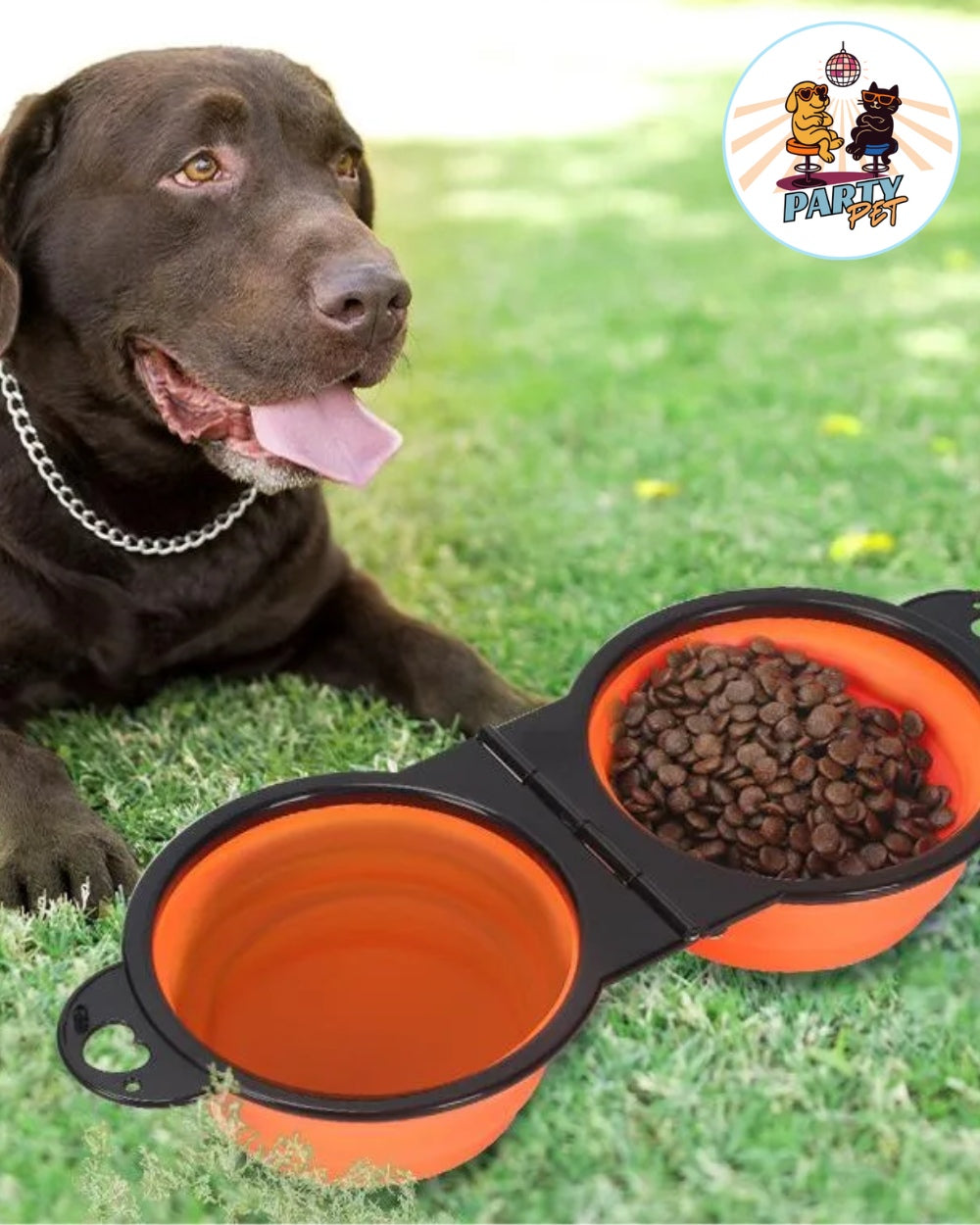 GIOTTO-LA – La ciotola da viaggio igienica salvaspazio