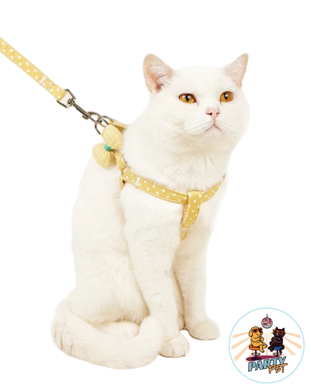 LA MIAO-BELLE – La pettorina che passeggia con grazia