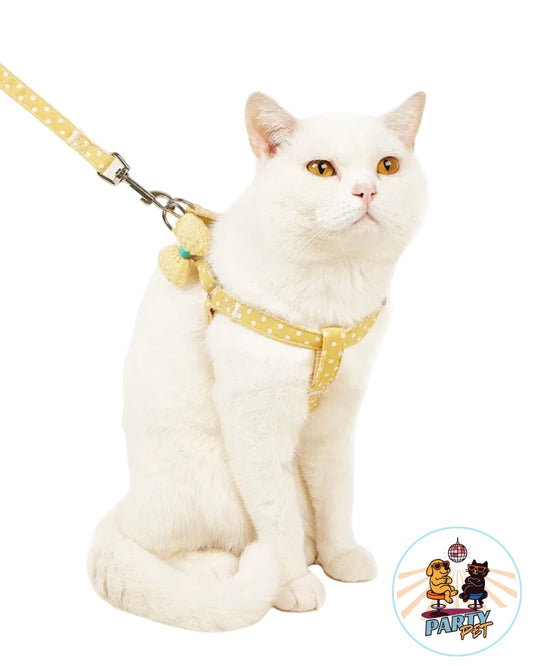 LA MIAO-BELLE – La pettorina che passeggia con grazia