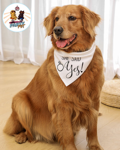 PARLACOLLO – il foulard parlante da collo