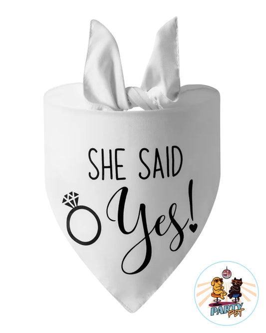 PARLACOLLO – il foulard parlante da collo