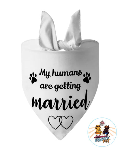 PARLACOLLO – il foulard parlante da collo