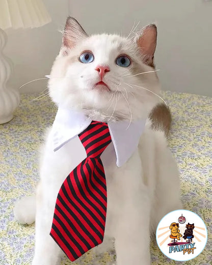 PEZZOGROSSO – La cravatta che fa carriera