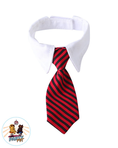 PEZZOGROSSO – La cravatta che fa carriera